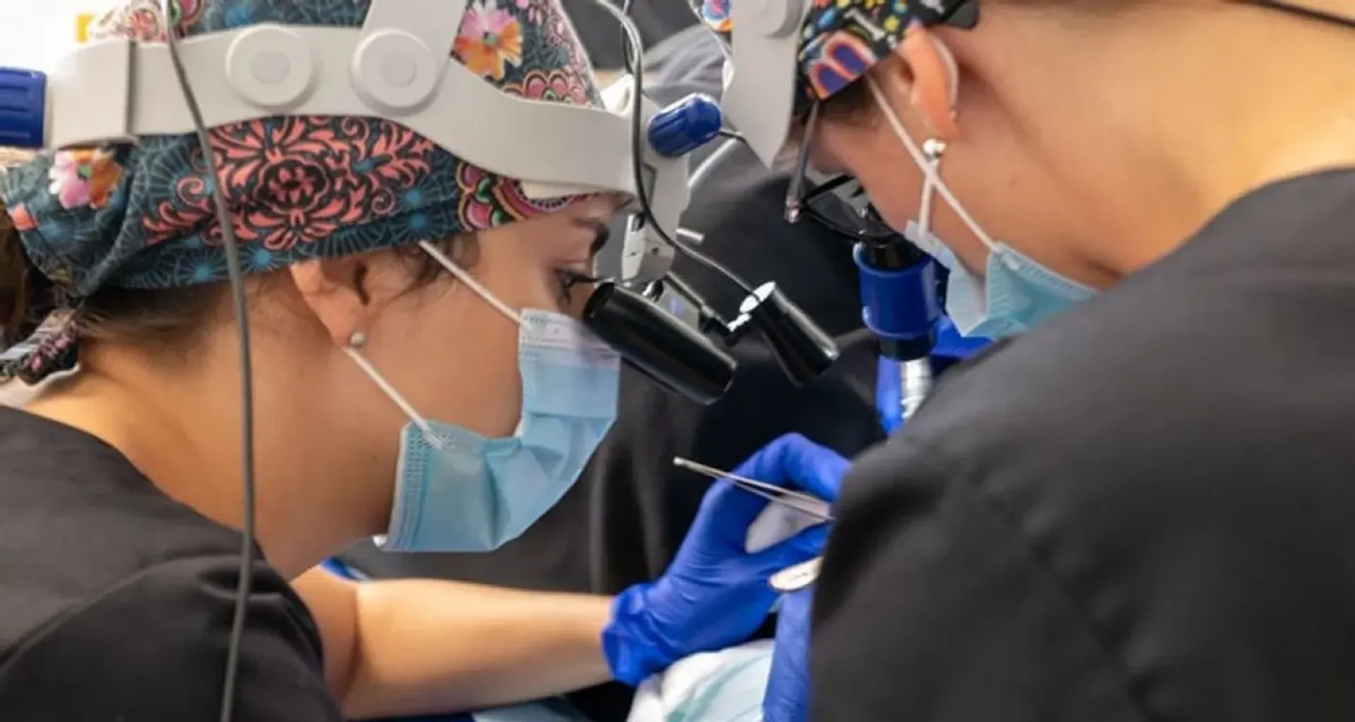 Natural Hair Transplant, Avignon, France - Avignon, France
