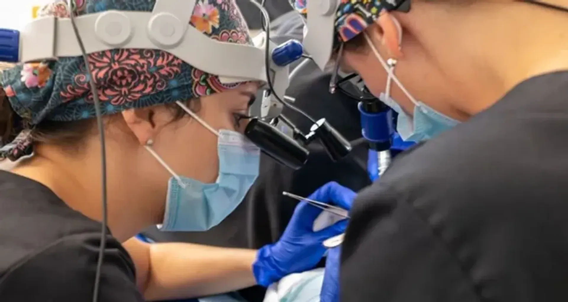 Natural Hair Transplant, Avignon, France - Avignon, France