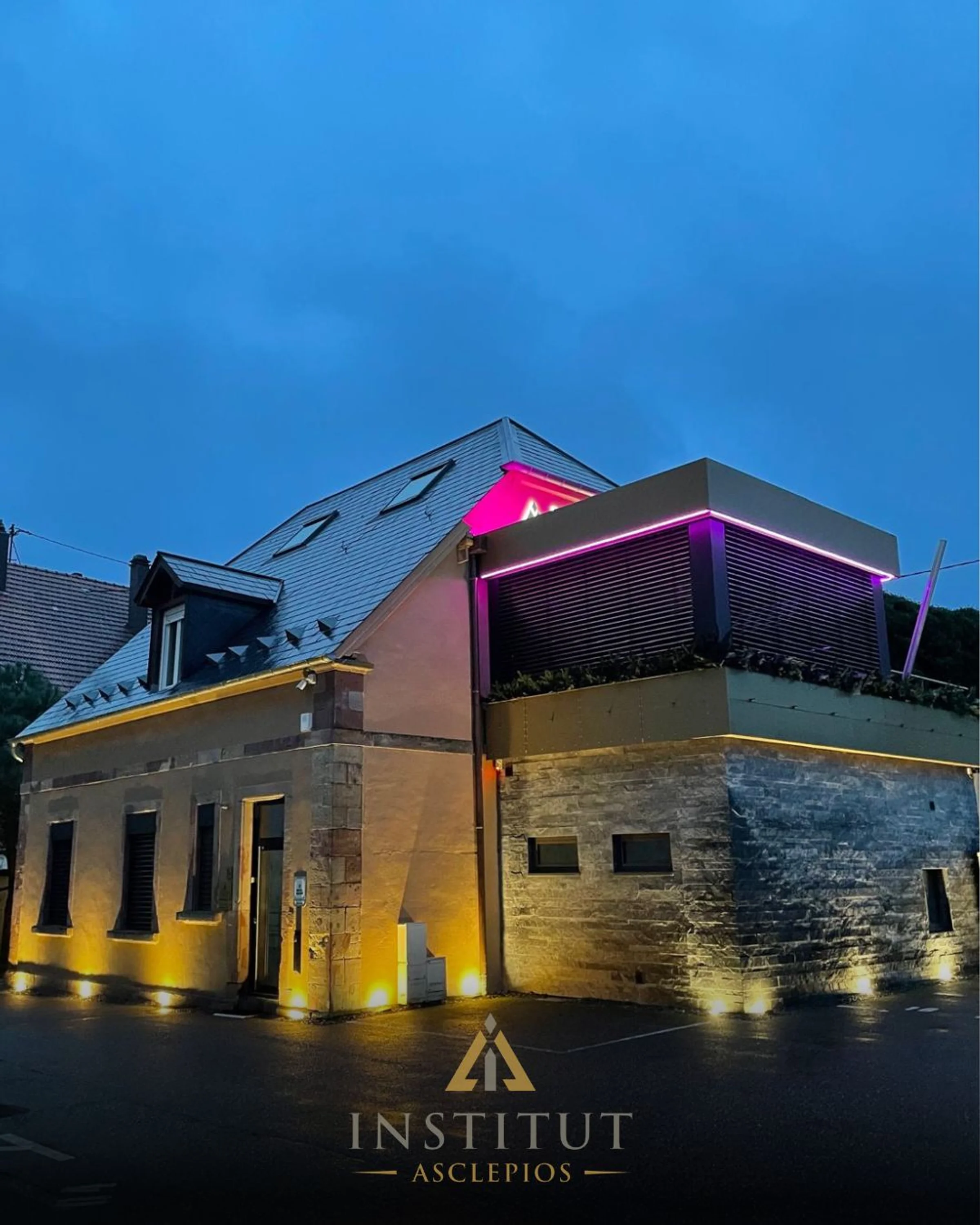 Asclepios Institute, Bitche, près du Luxembourg - Photo 3