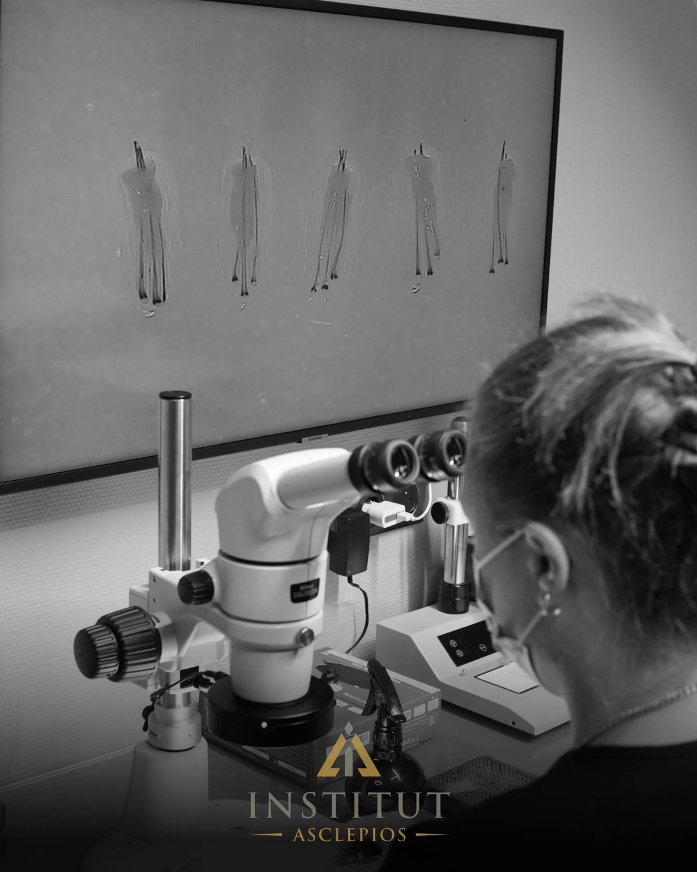 Asclepios Institute, Bitche, near Luxemburg - Photo 3