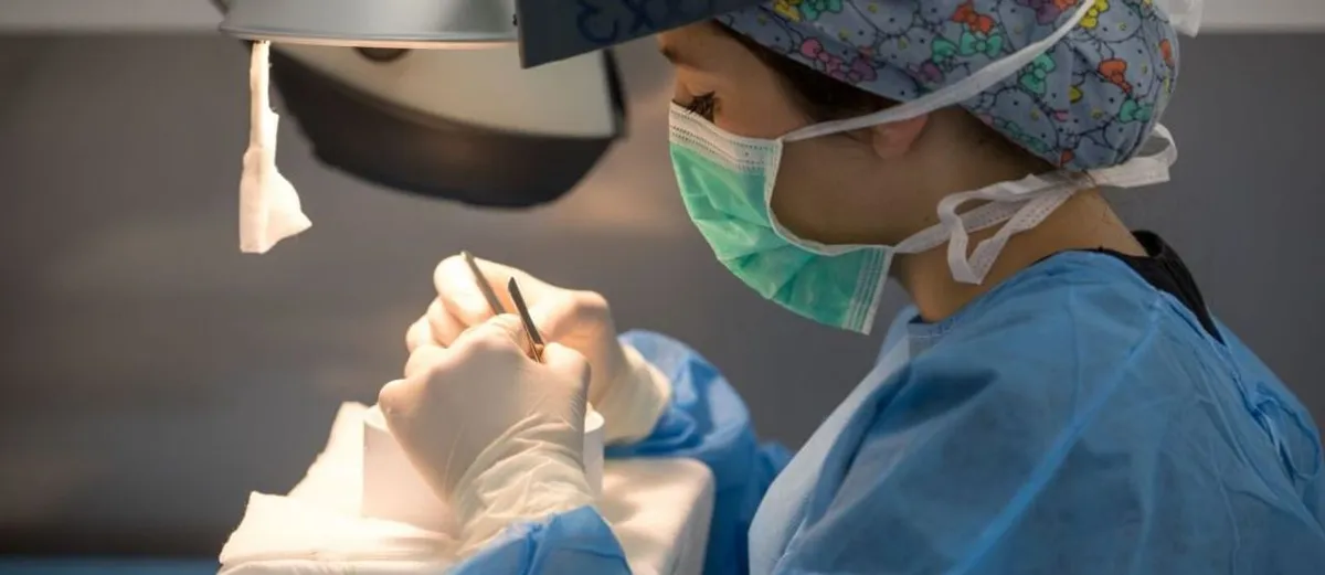 CCCI Tres Torres, Barcelona, Spain - Photo 1